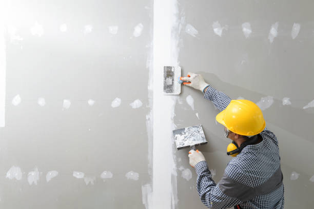 Best Acoustic or Soundproof Drywall Installation  in Mead Valley, CA